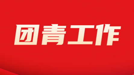 甘肅工程咨詢集團(tuán)團(tuán)委組織開展“國家安全 青春挺膺”主題團(tuán)日活動